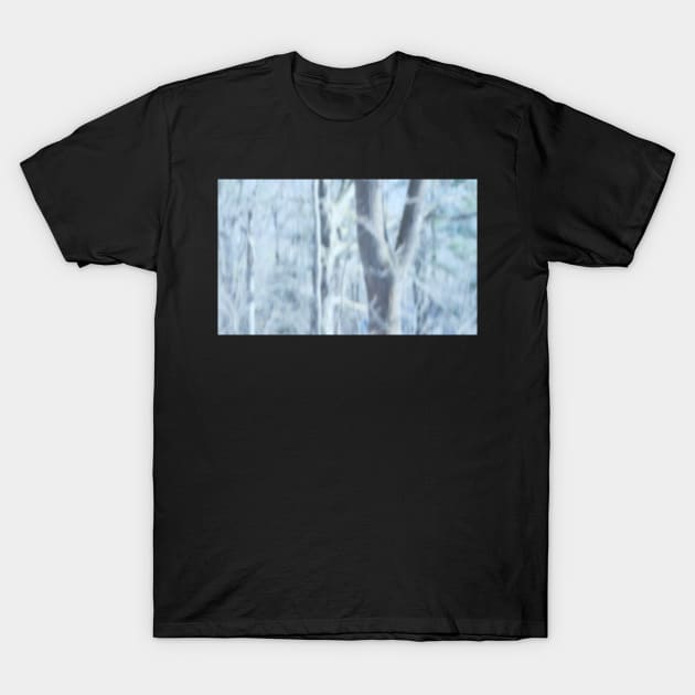 Trees impressionism T-Shirt by LaurieMinor